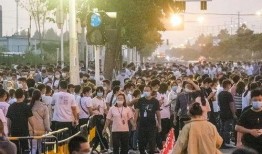 大厂往事爆料视频,那些不为人知的幕后故事